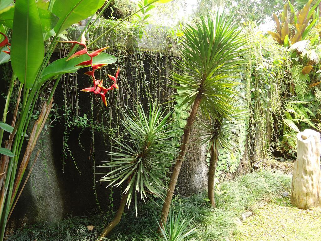 Labak River Hotel By Eps Ubud  Exterior photo